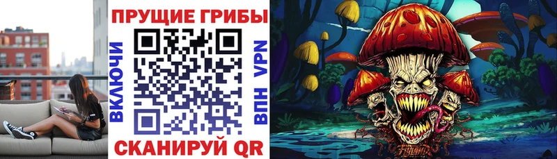 Галлюциногенные грибы GOLDEN TEACHER Еманжелинск
