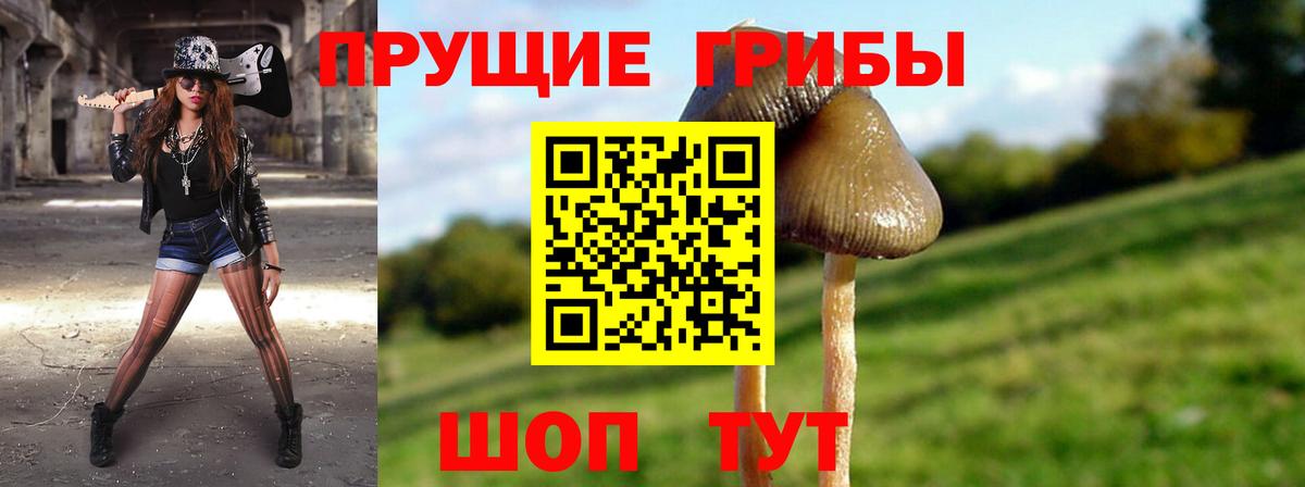 Еманжелинск  Псилоцибиновые грибы ЛСД  Вход с VPN  Псилоцибиновые грибы Magic Shrooms 