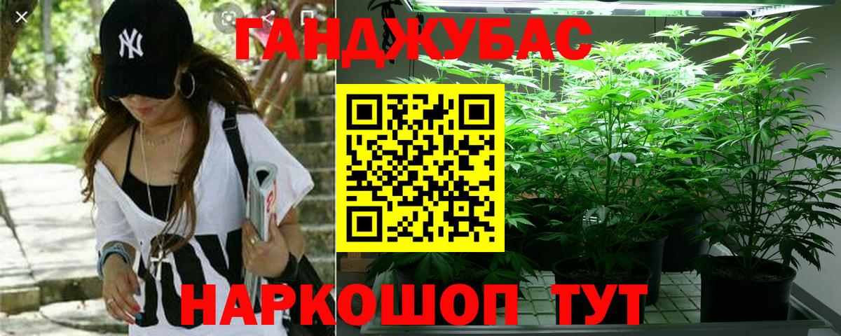 Конопля Amnesia Еманжелинск